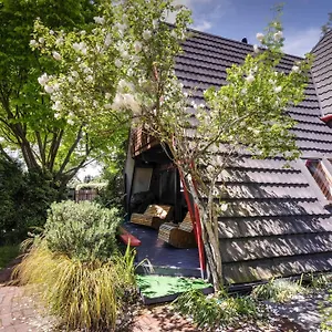  Hostel Haka New Zealand